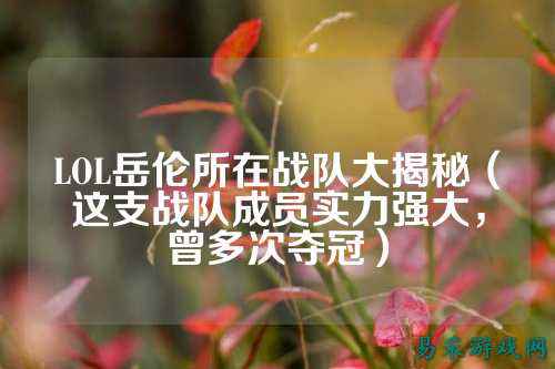 LOL岳伦所在战队大揭秘(这支战队成员实力强大,曾多次夺冠)
