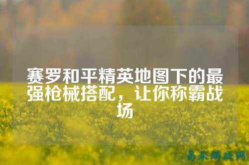 赛罗和平精英地图下的最强枪械搭配,让你称霸战场