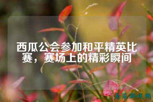 西瓜公会参加和平精英比赛,赛场上的精彩瞬间