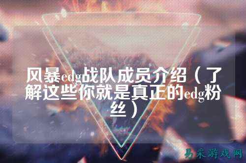 风暴edg战队成员介绍（了解这些你就是真正的edg粉丝）