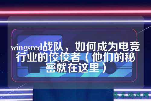wingsred战队，如何成为电竞行业的佼佼者（他们的秘密就在这里）