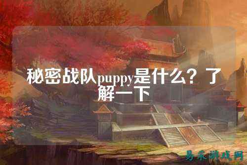 秘密战队puppy是什么？了解一下