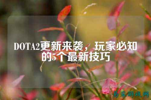 DOTA2更新来袭,玩家必知的5个最新技巧