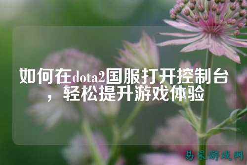 如何在dota2国服打开控制台,轻松提升游戏体验