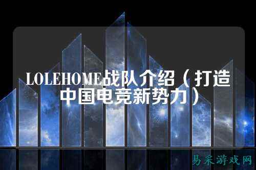 LOLEHOME战队介绍（打造中国电竞新势力）