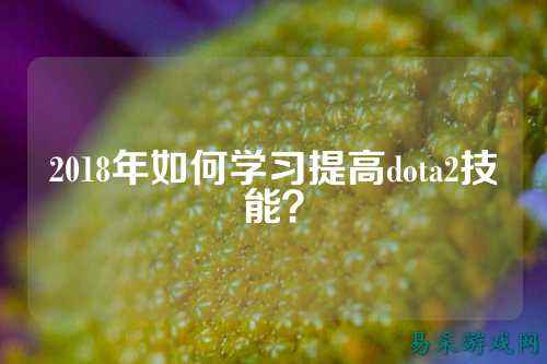2018年如何学习提高dota2技能?