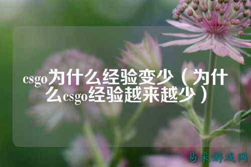 csgo为什么经验变少(为什么csgo经验越来越少)