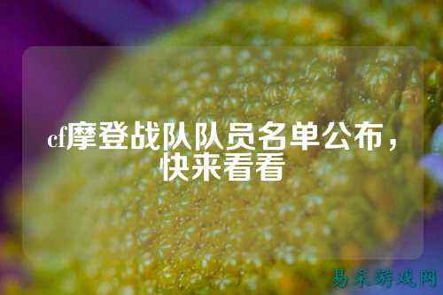 cf摩登战队队员名单公布,快来看看