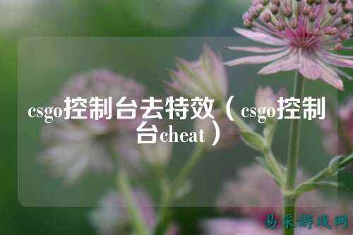 csgo控制台去特效(csgo控制台cheat)
