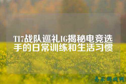 TI7战队巡礼IG揭秘电竞选手的日常训练和生活习惯