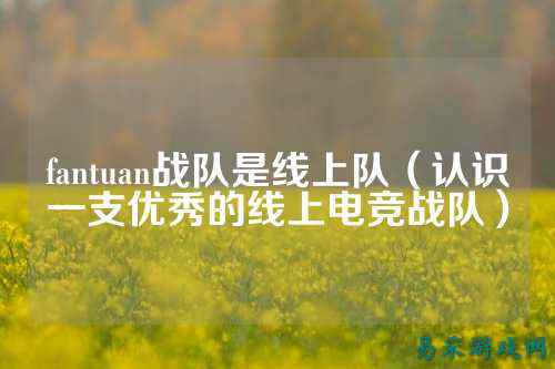 fantuan战队是线上队（认识一支优秀的线上电竞战队）