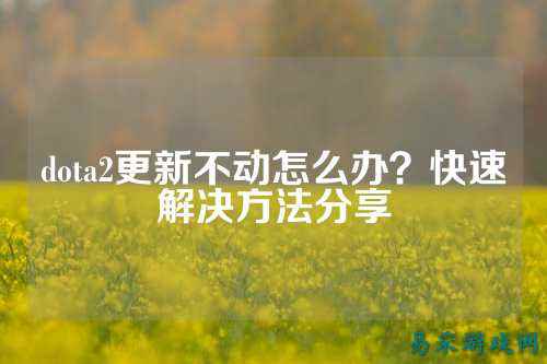 dota2更新不动怎么办?快速解决方法分享