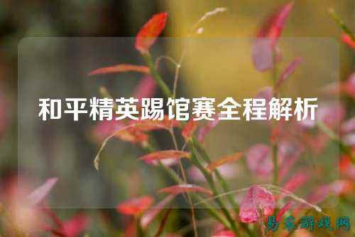 和平精英踢馆赛全程解析
