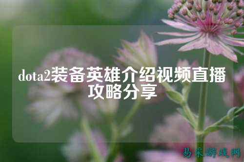 dota2装备英雄介绍视频直播攻略分享
