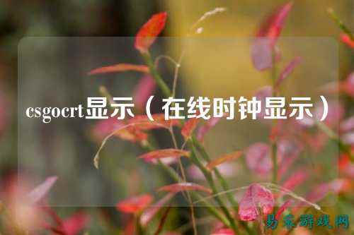 csgocrt显示(在线时钟显示)
