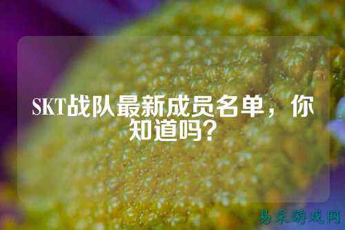 SKT战队最新成员名单，你知道吗？