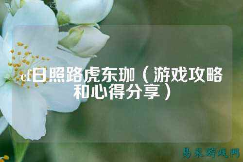 cf日照路虎东珈(游戏攻略和心得分享)