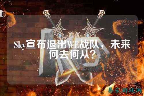 Sky宣布退出WE战队，未来何去何从？