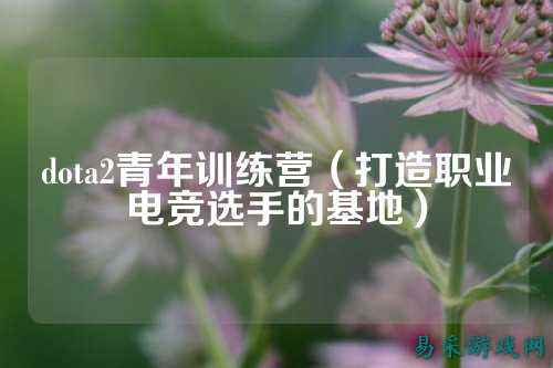dota2青年训练营(打造职业电竞选手的基地)