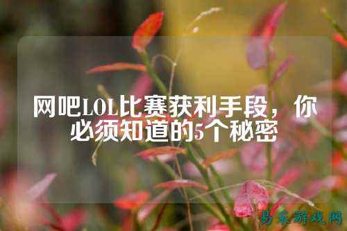 网吧LOL比赛获利手段,你必须知道的5个秘密