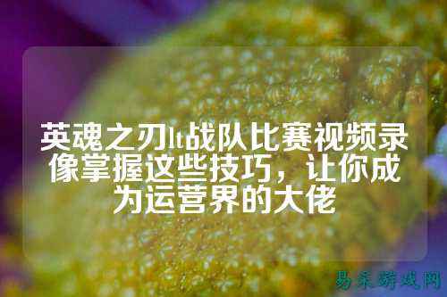 英魂之刃lt战队比赛视频录像掌握这些技巧，让你成为运营界的大佬