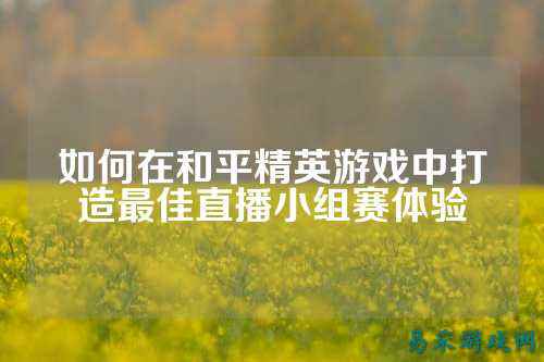 如何在和平精英游戏中打造最佳直播小组赛体验