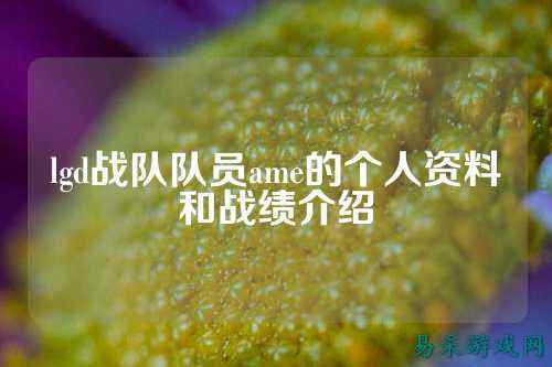 lgd战队队员ame的个人资料和战绩介绍