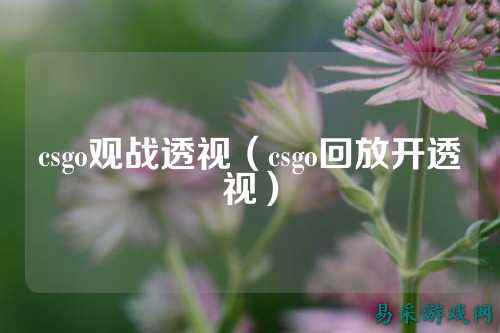 csgo观战透视（csgo回放开透视）