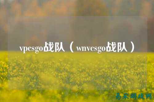 vpcsgo战队（wnvcsgo战队）