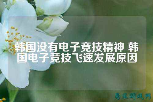 韩国没有电子竞技精神 韩国电子竞技飞速发展原因