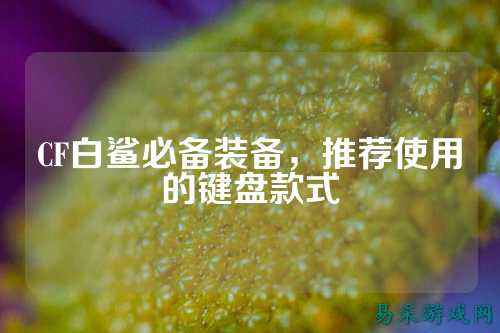 CF白鲨必备装备，推荐使用的键盘款式