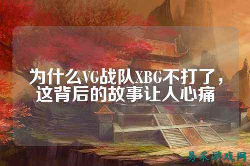 为什么VG战队XBG不打了，这背后的故事让人心痛