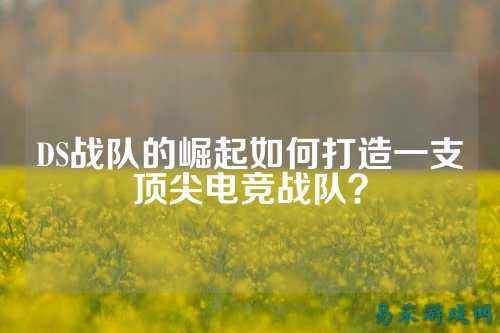 DS战队的崛起如何打造一支顶尖电竞战队？