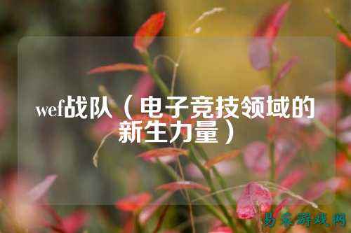 wef战队（电子竞技领域的新生力量）