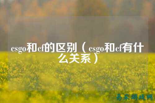 csgo和cf的区别(csgo和cf有什么关系)