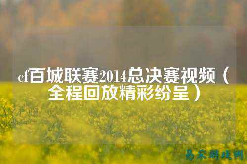 cf百城联赛2014总决赛视频(全程回放精彩纷呈)
