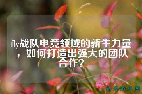 fly战队电竞领域的新生力量，如何打造出强大的团队合作？