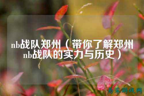 nb战队郑州（带你了解郑州nb战队的实力与历史）
