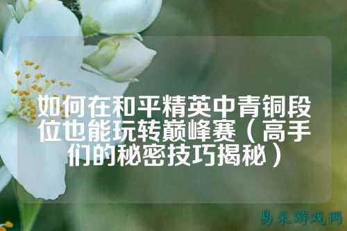 如何在和平精英中青铜段位也能玩转巅峰赛(高手们的秘密技巧揭秘)