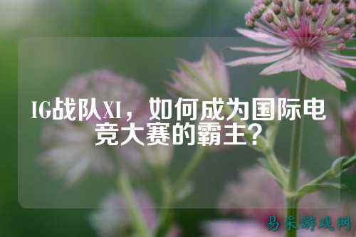 IG战队XI，如何成为国际电竞大赛的霸主？