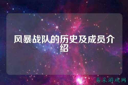 风暴战队的历史及成员介绍