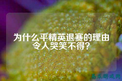 为什么平精英退赛的理由令人哭笑不得?
