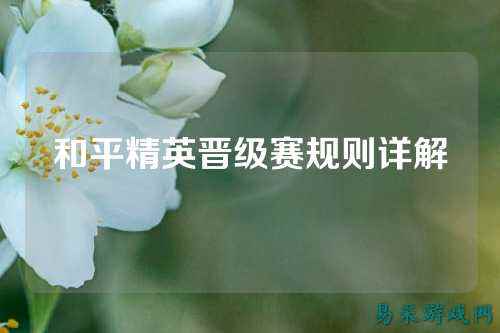 和平精英晋级赛规则详解