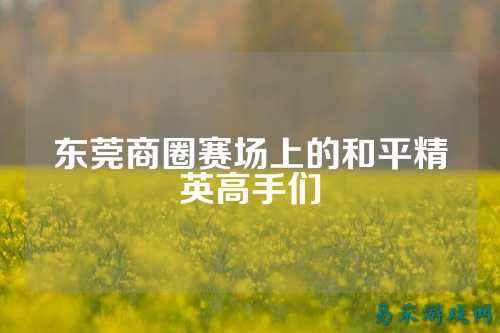 东莞商圈赛场上的和平精英高手们