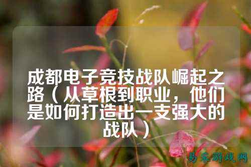 成都电子竞技战队崛起之路（从草根到职业，他们是如何打造出一支强大的战队）