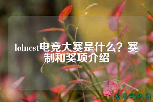 lolnest电竞大赛是什么?赛制和奖项介绍