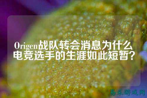 Origen战队转会消息为什么电竞选手的生涯如此短暂？