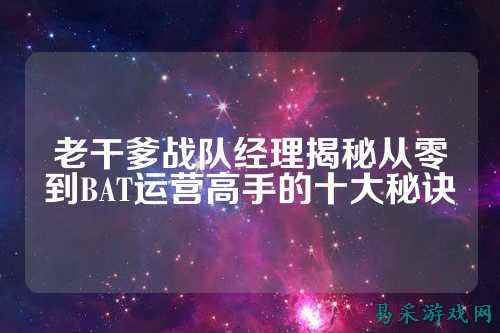 老干爹战队经理揭秘从零到BAT运营高手的十大秘诀