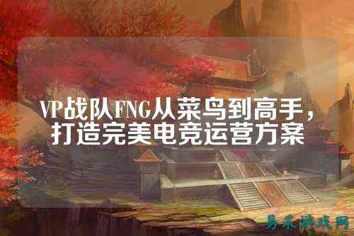 VP战队FNG从菜鸟到高手，打造完美电竞运营方案