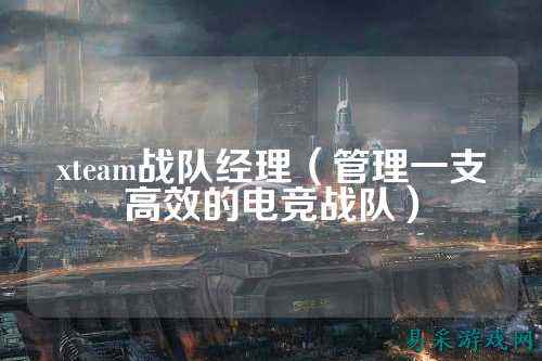 xteam战队经理（管理一支高效的电竞战队）